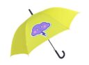 miniatura_parasol