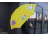 parasol1