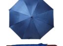 parasol11