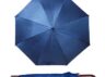 parasol11