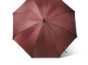 parasol13