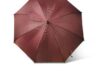 parasol13