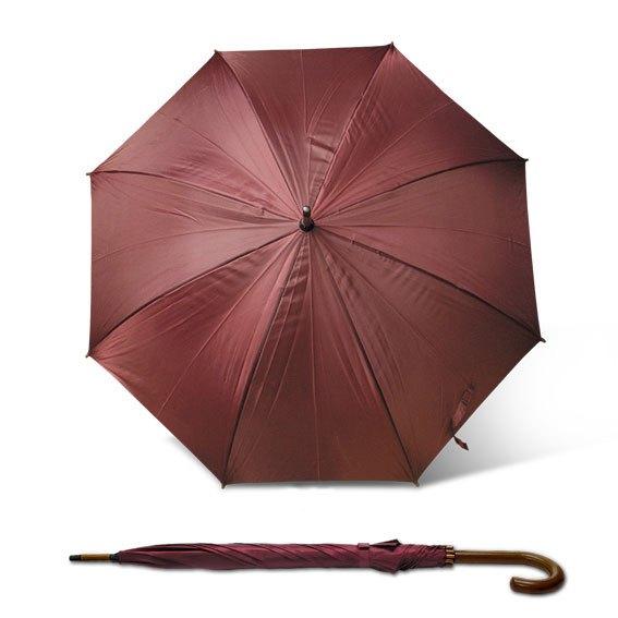 parasol13 parasol13