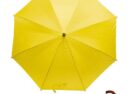 parasol14