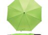 parasol15