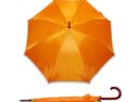parasol17