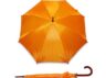 parasol17