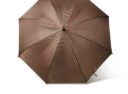 parasol19