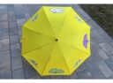 parasol6