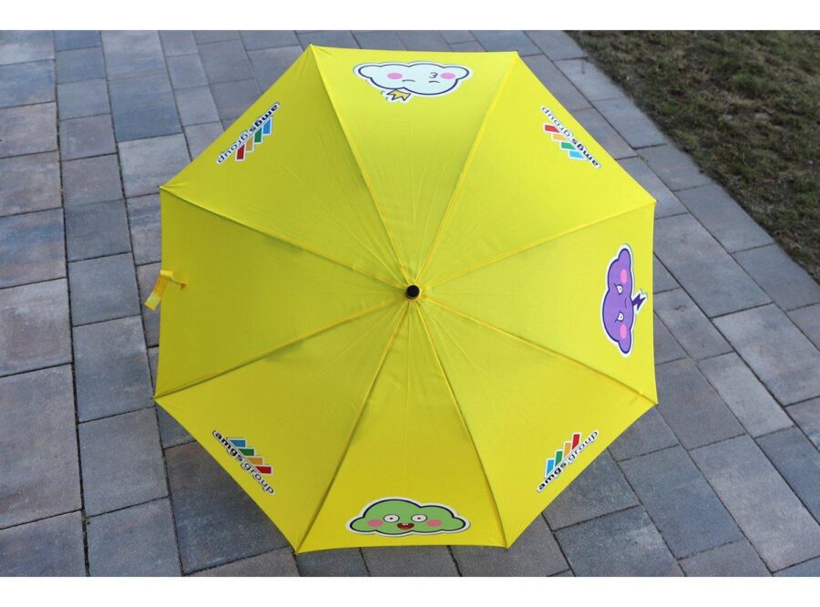 parasol6 parasol6