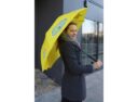 parasol7