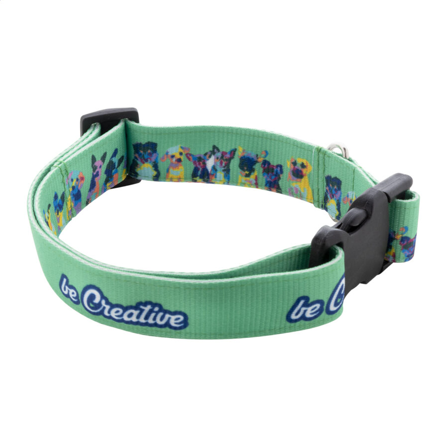 Collare per cani personalizzabile Ziggy