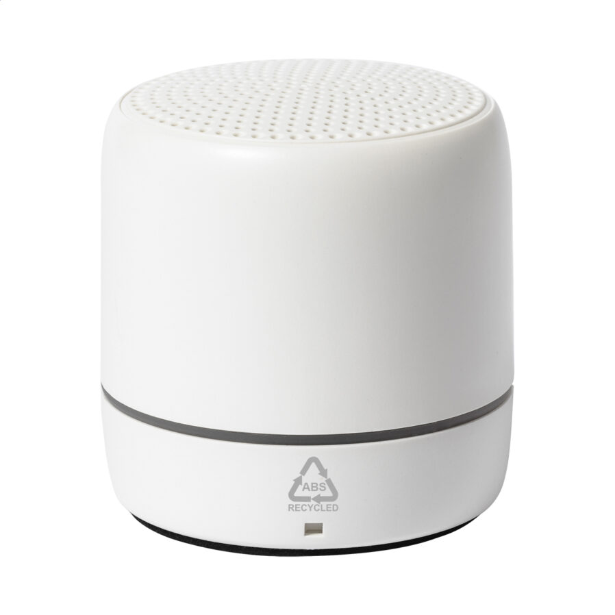 Cassa wireless RABS Replay