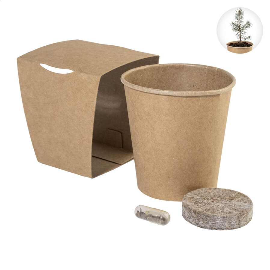Kit albero di Natale MerryGrow