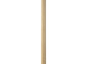 AP761177-00