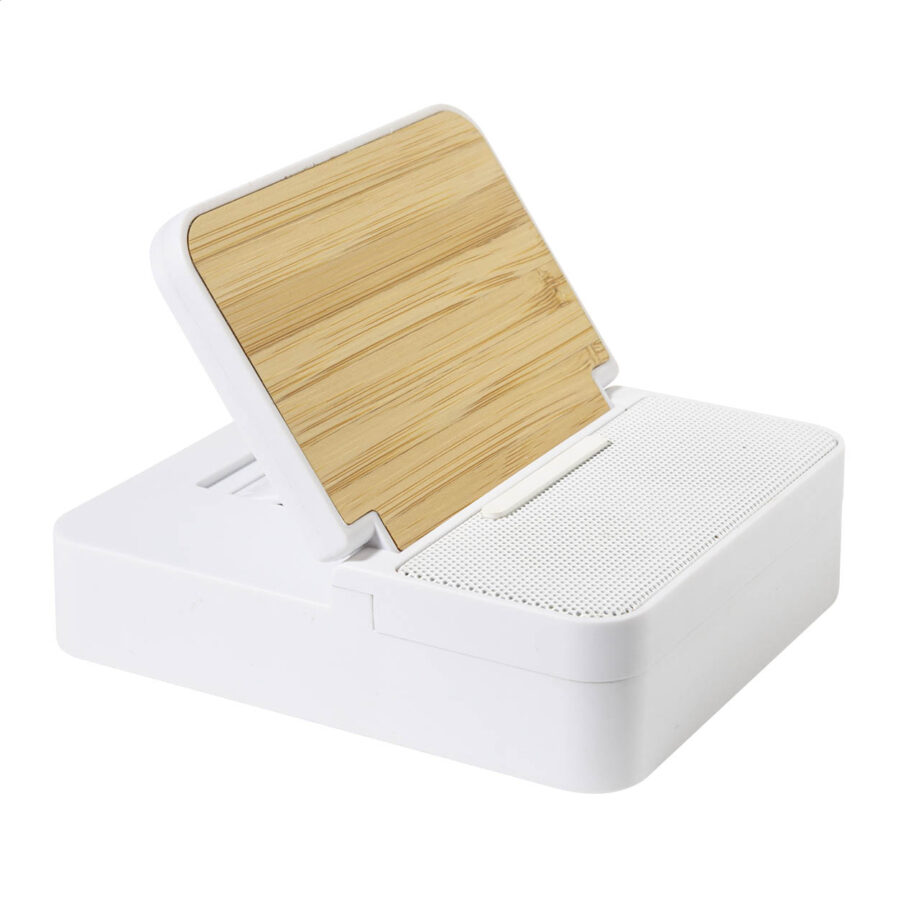Cassa wireless in RABS con caricatore Hobofi